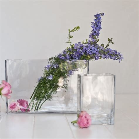 Rectangular Glass Vase Propitpretty