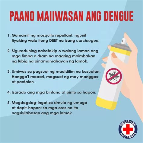 Artikulo Kung Paano Maiiwasan Ang Dengue