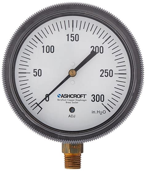 Ashcroft Type 1490 Glass Filled Polysulfone Low Pressure Diaphragm