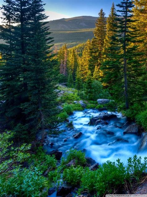 Find your perfect nature wallpaper for your phone, desktop, website and more! 31+ Nature 4k Wallpaper For Mobile - Basty Wallpaper