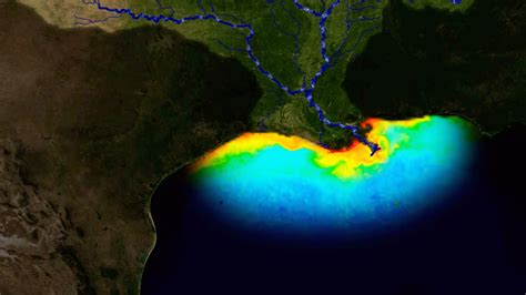 Researcher Speaking At Iowa State About Effects Of Gulf Of Mexico Dead