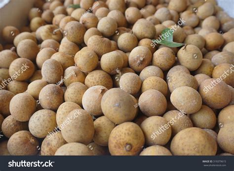 Longan masada tropikal ülkelerden egzotik meyve. Fresh Longan Or Mata Kucing Stock Photo 319379615 ...