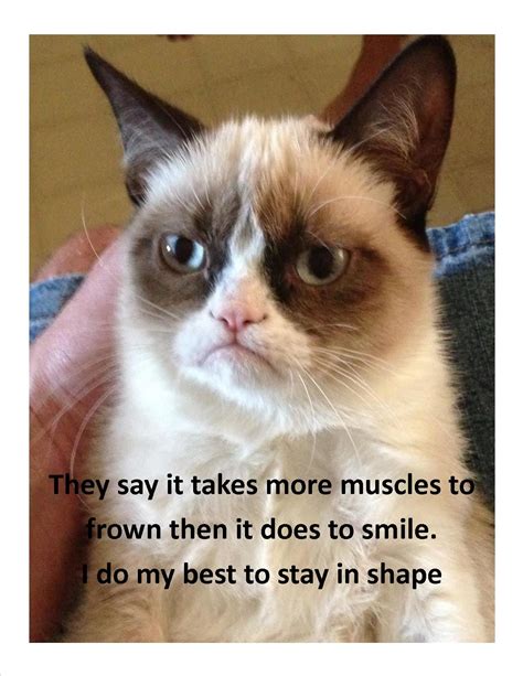 Grumpycat Meme For More Grumpy Cat Stuff Ts And