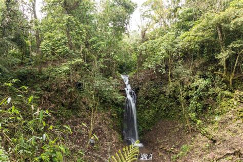 Beautiful Waterfall In Green Forest In Jungle In Tropical Bali Island