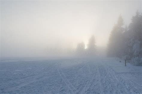Winter Snowy Landscape In Dense Fog Stock Image Image Of Weather