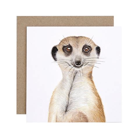 Marvin The Meerkat Greeting Card Pack Of 6 For Me By Dee