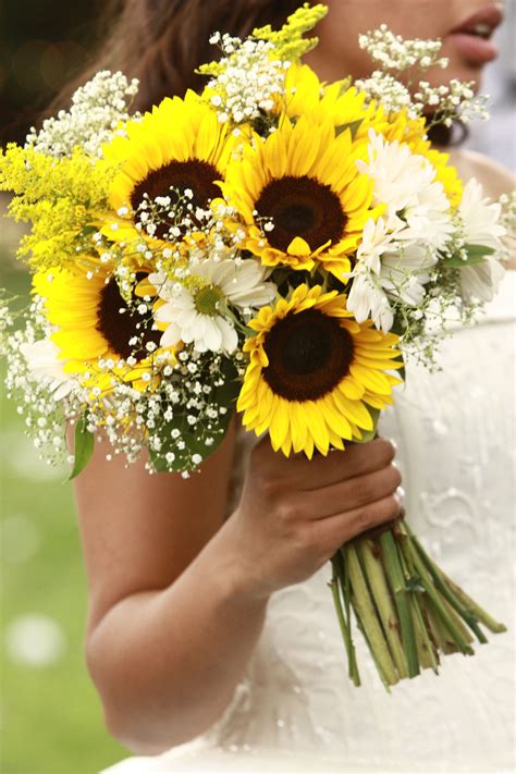 Yellow Bridal Bouquet With Sunflowers And Babys Breath Sunflower