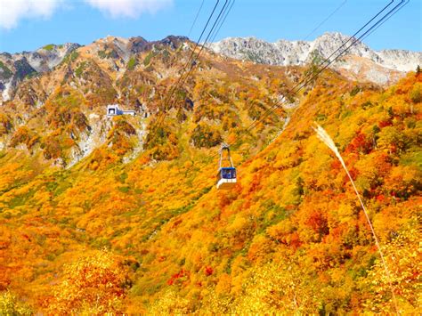 25 Things To Do In And Around The Tateyama Kurobe Alpine Route Snow