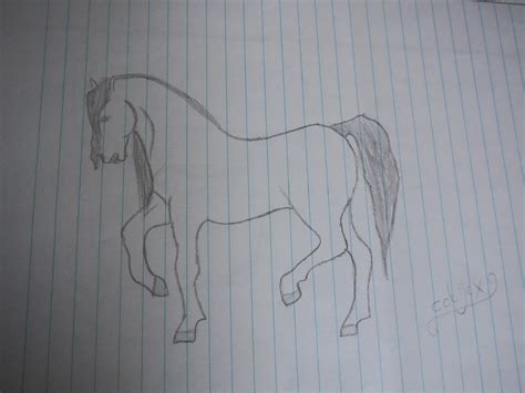Er zijn vele verschillende soorten paarden. cctjexlove: Mijn tekeningen