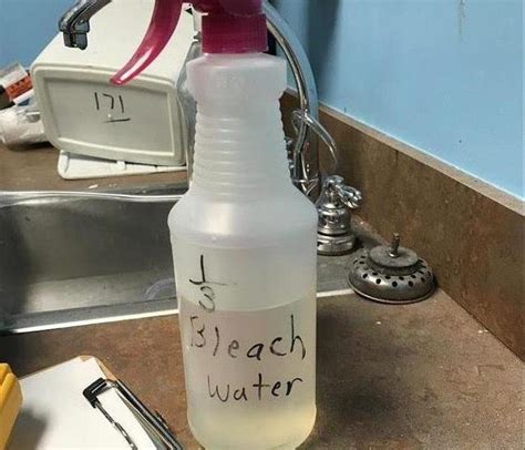 Heres Why You Should Never Use Bleach On Mold