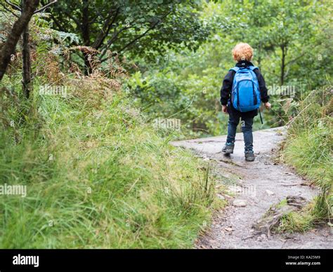 Little Boy In The Woods Stock Photo Alamy