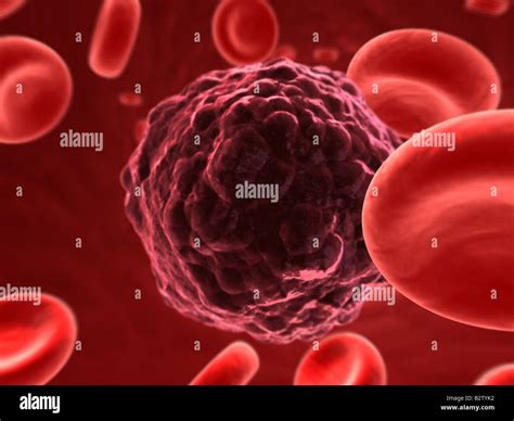 Skin Cancer Cell Hi Res Stock Photography And Images Alamy