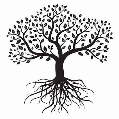 Roots Tree Vector Silhouette Clip Illustrations Similar