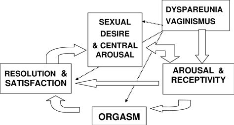 [pdf] Sexual Pain Disorders Dyspareunia And Vaginismus Semantic Scholar