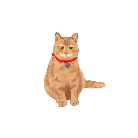 Pet Cute Cat Vector Hd Png Images Sitting Orange Cat Cartoon Hand
