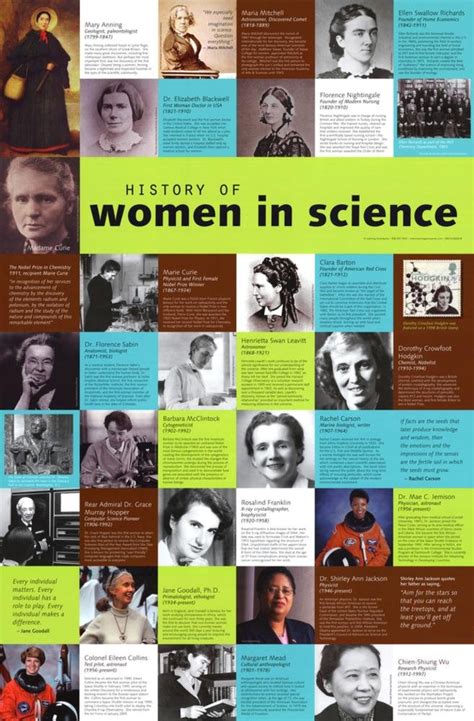 History Of Women In Science Poster Prints Posters And Prints