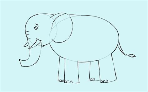 Detail Sketsa Gambar Hewan Gajah Koleksi Nomer 47
