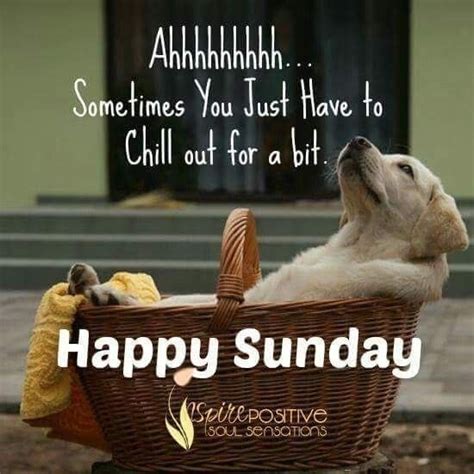 Happy Sunday Guaranteed To Make You Laugh Happy Sunday Quotes