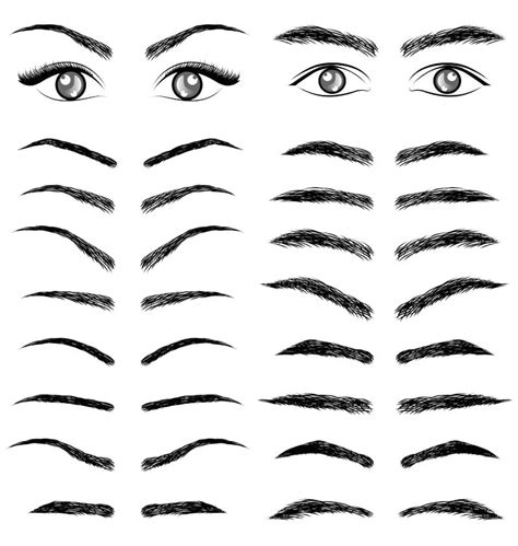 Printable Eyebrow Outline