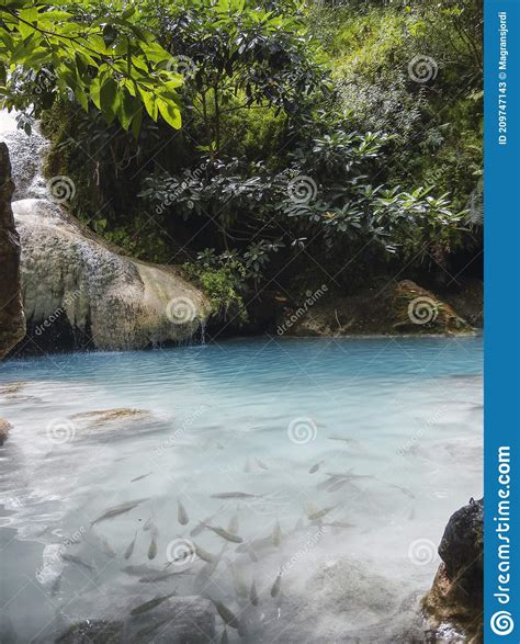 Tropical Landscape Emerald Blue Lake And Rocks In Wild Jungle Forest