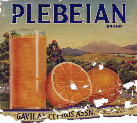 Citrus Label Collection Plebeian Brand