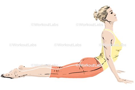 Extended Cobra Saral Hasta Bhujangasana Yoga Poses Guide By Workoutlabs