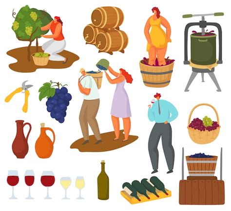 Premium Vector Wine And Winemaking Illustration Set Farmer Winemaker