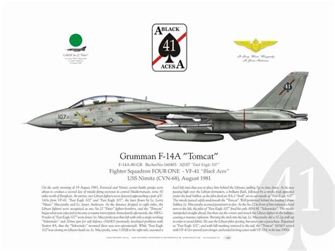 Aircraft Profile Print Of F 14d Tomcat Vf 213 Black Lions Nh101 164603