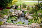 Garden Pond Guide - Aquatics World