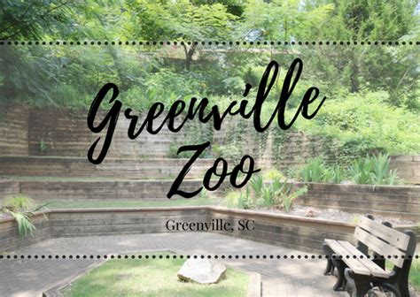 Greenville Sc Greenville Zoo Little Conquest