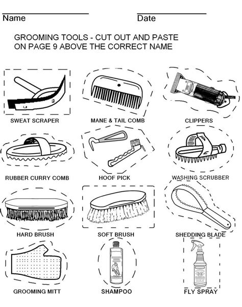 16 Best Images Of Horse Worksheets For Students Infectious Disease