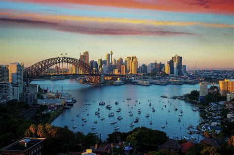 Panorama Of Sydney Harbour And Bridge In Sydney City Photograph By Anek