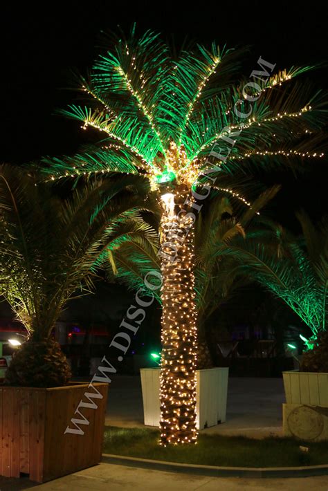 Outdoor Lighted Artificial Palm Trees Outdoor Lighting Ideas