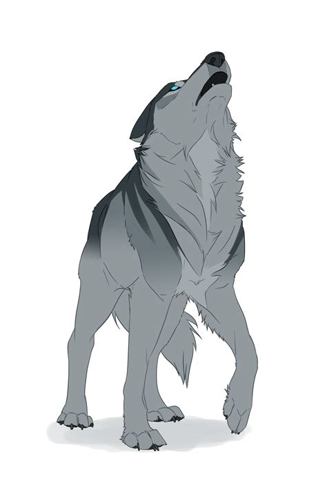 Wolves Gray Blue Eyed Wolf On