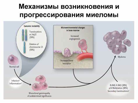 Множественная миелома диета Миеломная болезнь (множественная миелома, болезнь Рустицкого-Калера Миеломная болезнь (множественная миелома, болезнь Рустицкого-Калера Множественная миелома диета