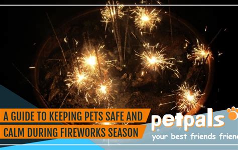 The Petpals Guide To Keeping Your Pets Safe And Calm During Fireworks