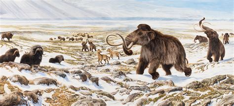 Woolly Mammoth Yukon Beringia Interpretive Centre