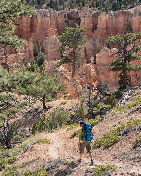 We Came To Bryce Canyon National Park In 2014 For The Astronomy