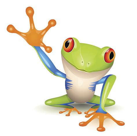 Royalty Free Tree Frog Clip Art Vector Images And Illustrations Istock