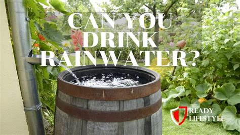Can You Drink Rainwater How To Collect Free Drinking Water