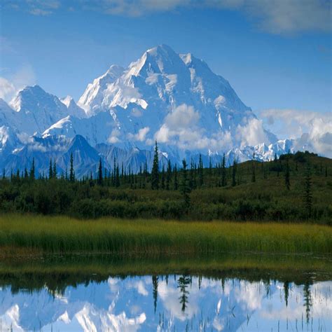 Denali National Park And Preserve Alaska Usa National Parks Trip