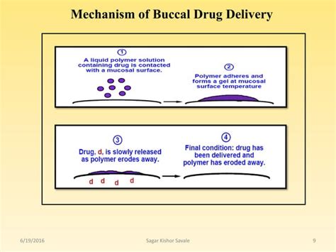 Buccal And Sublingual Drug Delivery System Ppt