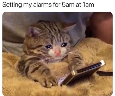 Find and save saturday night memes | from instagram, facebook, tumblr, twitter & more. I literally fukcn did this last night and just ended up staying awake the whole night😭 | Cat ...