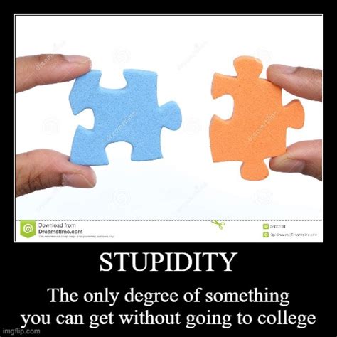 Stupidity Imgflip