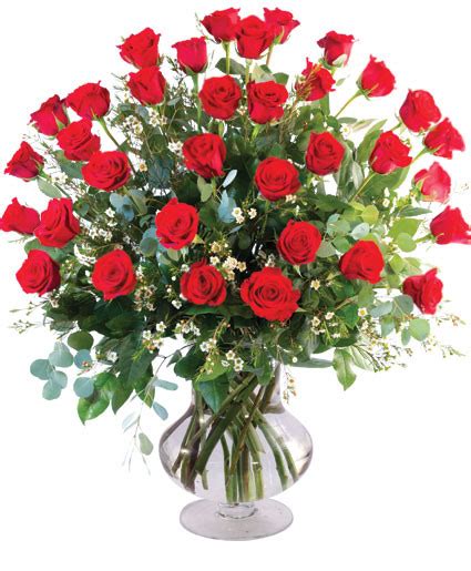 Three Dozen Red Roses Vase Arrangement In Fairburn Ga Shamrock Florist