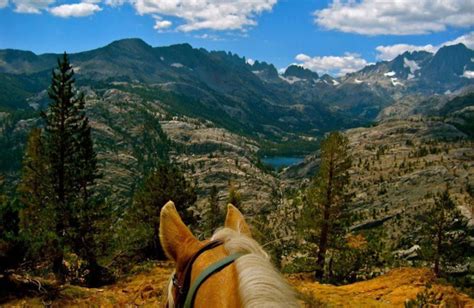 Plush king sized bed and very. Fern Creek Lodge (June Lake, CA) - Resort Reviews ...