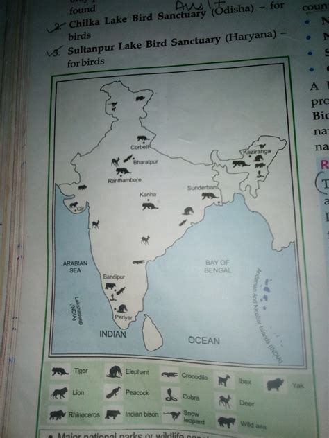 Political Map Of India Ncert Universe Map Travel And Codes Images
