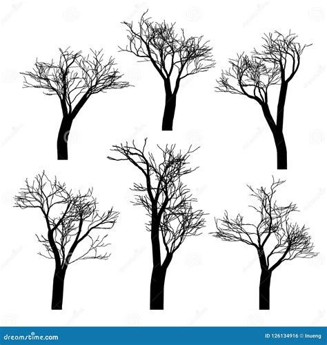 Set Of Black Naked Trees Silhouette Set Hand Drawn Isolated Stock