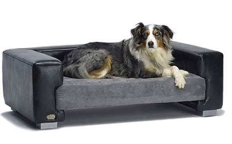 By considering the top list of dog beds, you can find the best dog bed for large dogs and save time shopping online. dogbeds: Best Dog beds