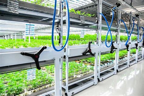 Vertical Growing Agriculture System Growthandflowering Montel Inc